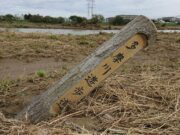 第5回市議会定例会代表質疑④多摩川緑地維持管理事業費について