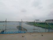 決算審査特別委員会④ 羽田連絡道路建設に伴う多摩川河口干潟への影響について